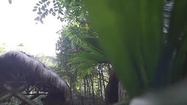 三亚槟榔谷门头流水自然环境视频的预览图